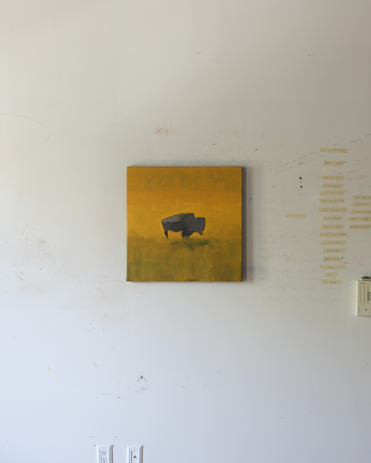 Yella Buffalo