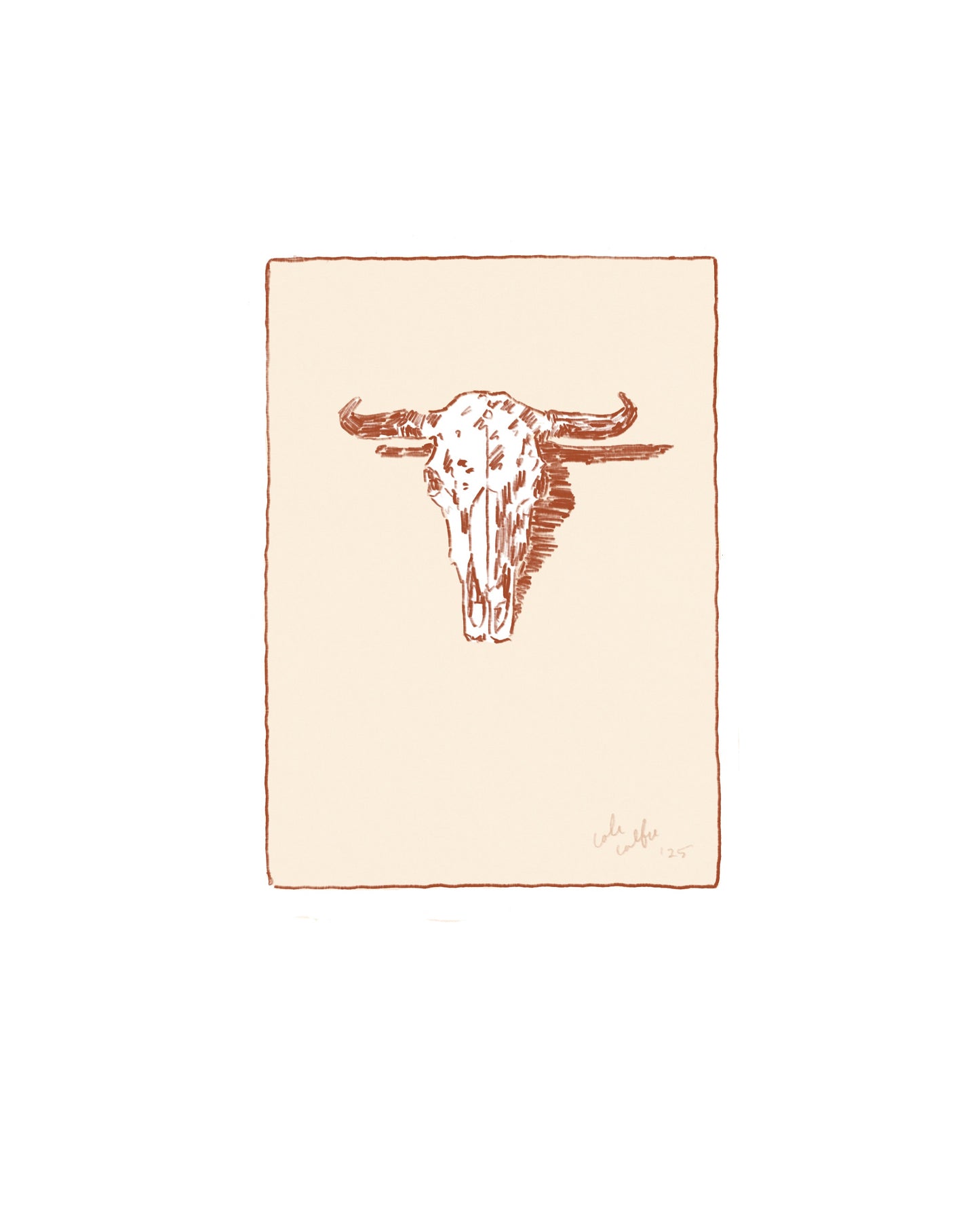 Buffalo skull